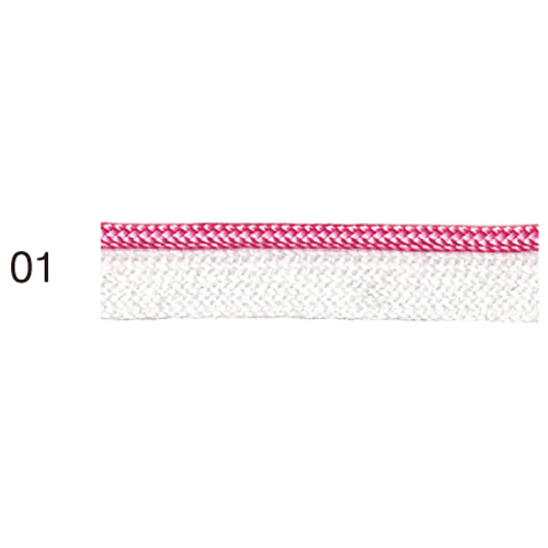 コットンパイピングリボン 01