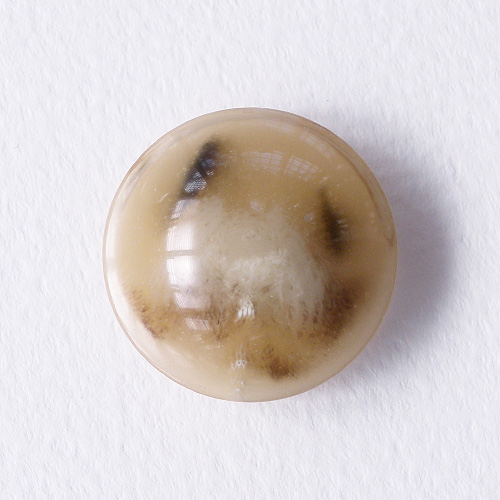 水牛調ボタンcol.42 (15/18/21/25/30mm)